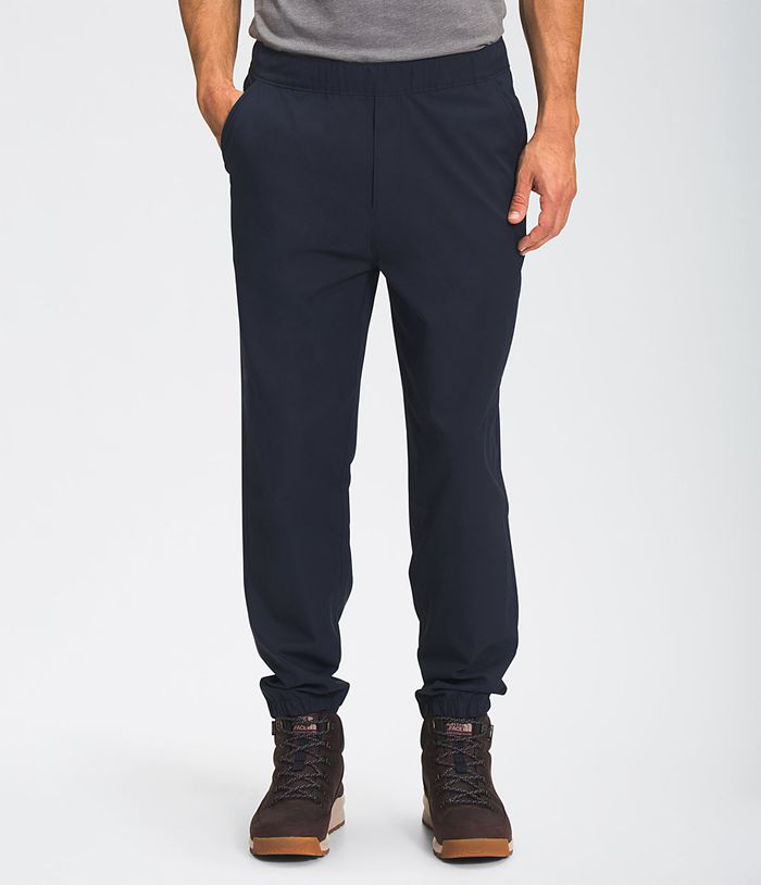 The North Face Mens Pants City Standard Jogger 537UCSORT - Navy